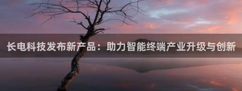 长电科技发布新产品：助力智能终端产业升级与创新