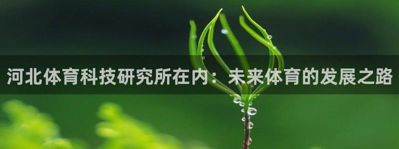 河北体育科技研究所在内：未来体育的发展之路