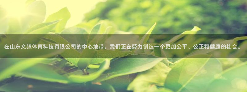 在山东文叔体育科技有限公司的中心地带，我们正在努力创造一个更加公平、公正和健康的社会。