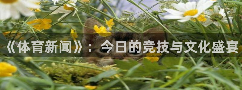《体育新闻》：今日的竞技与文化盛宴