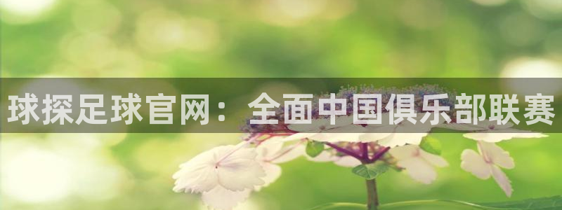 球探足球官网：全面中国俱乐部联赛