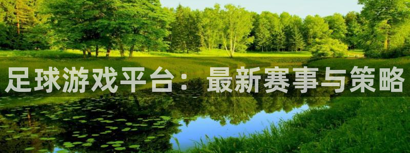 足球游戏平台：最新赛事与策略