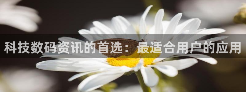 科技数码资讯的首选：最适合用户的应用