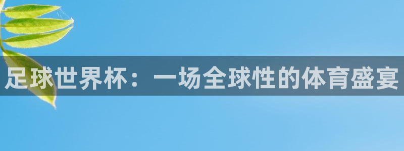 足球世界杯：一场全球性的体育盛宴