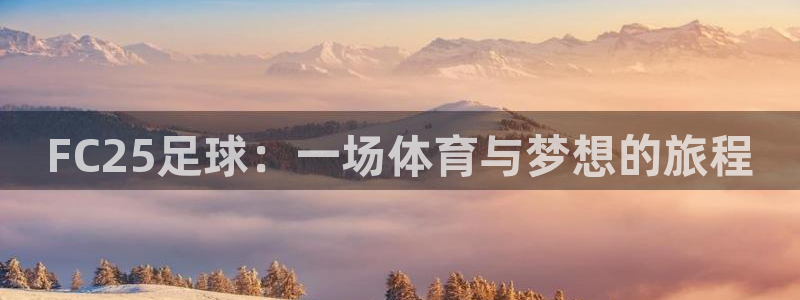 FC25足球：一场体育与梦想的旅程