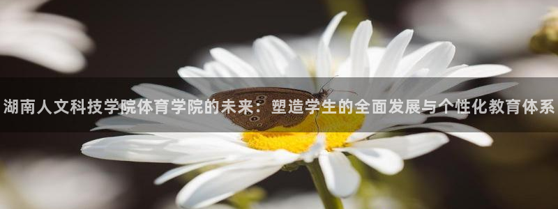 湖南人文科技学院体育学院的未来：塑造学生的全面发展与个性化教育体系
