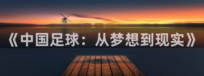 《中国足球：从梦想到现实》