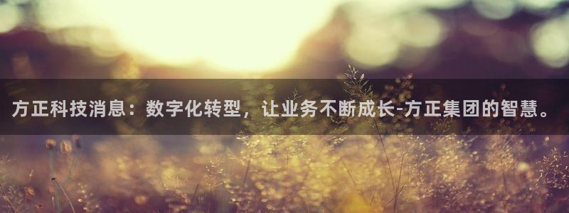 方正科技消息：数字化转型，让业务不断成长-方正集团的智慧。