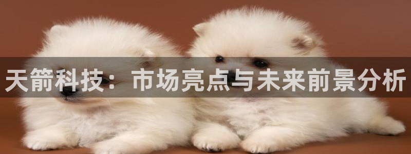 天箭科技：市场亮点与未来前景分析