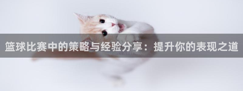 篮球比赛中的策略与经验分享：提升你的表现之道