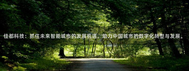 佳都科技：抓住未来智能城市的发展机遇，助力中国城市的数字化转型与发展。
